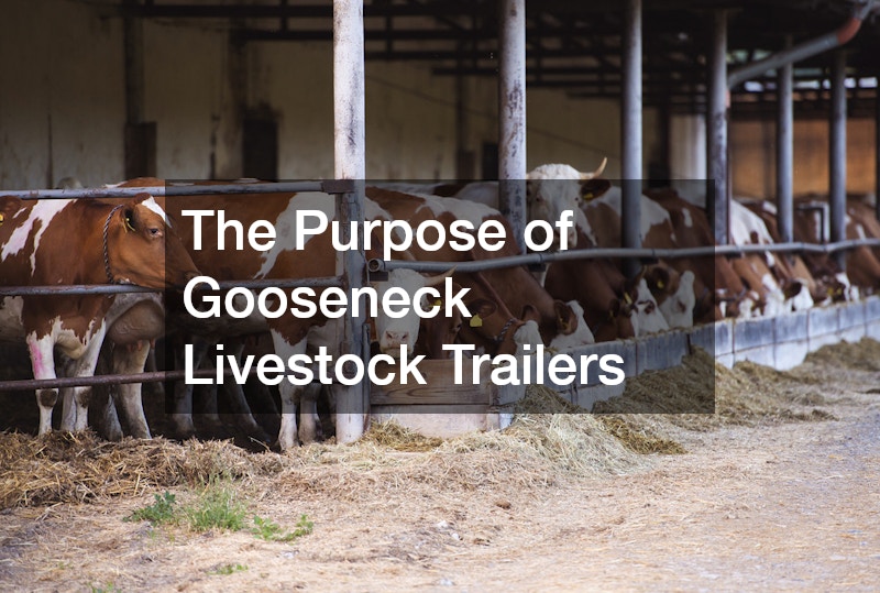 The Purpose of Gooseneck Livestock Trailers